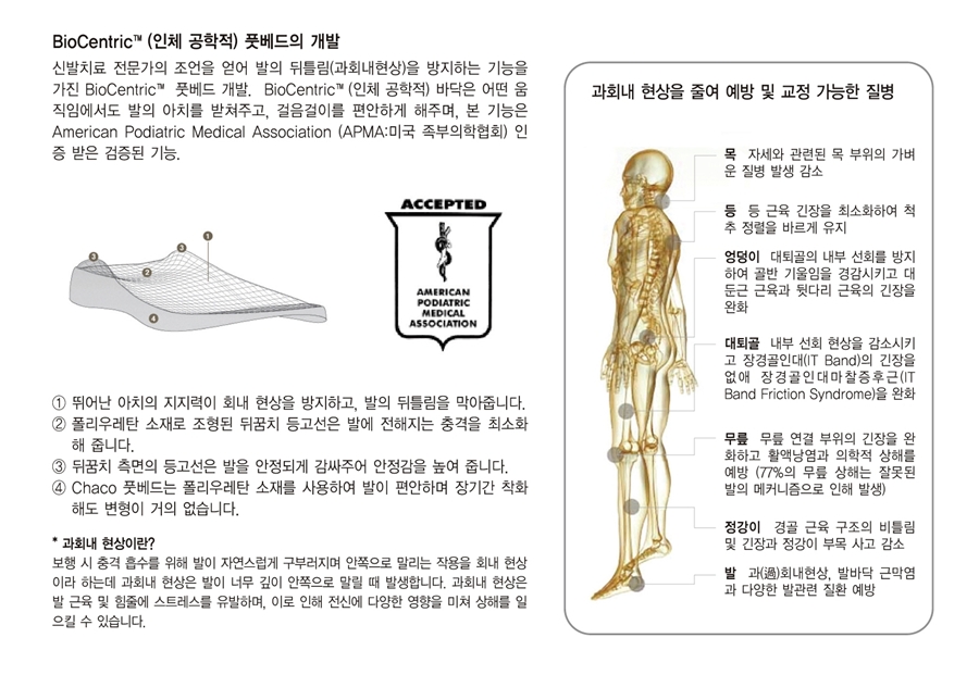 오케이몰, 1등 온라인쇼핑몰을 목표로 [Chaco]ZX3 YAMPA (J105116)(ZX3 얌파) - OKMALL.COM